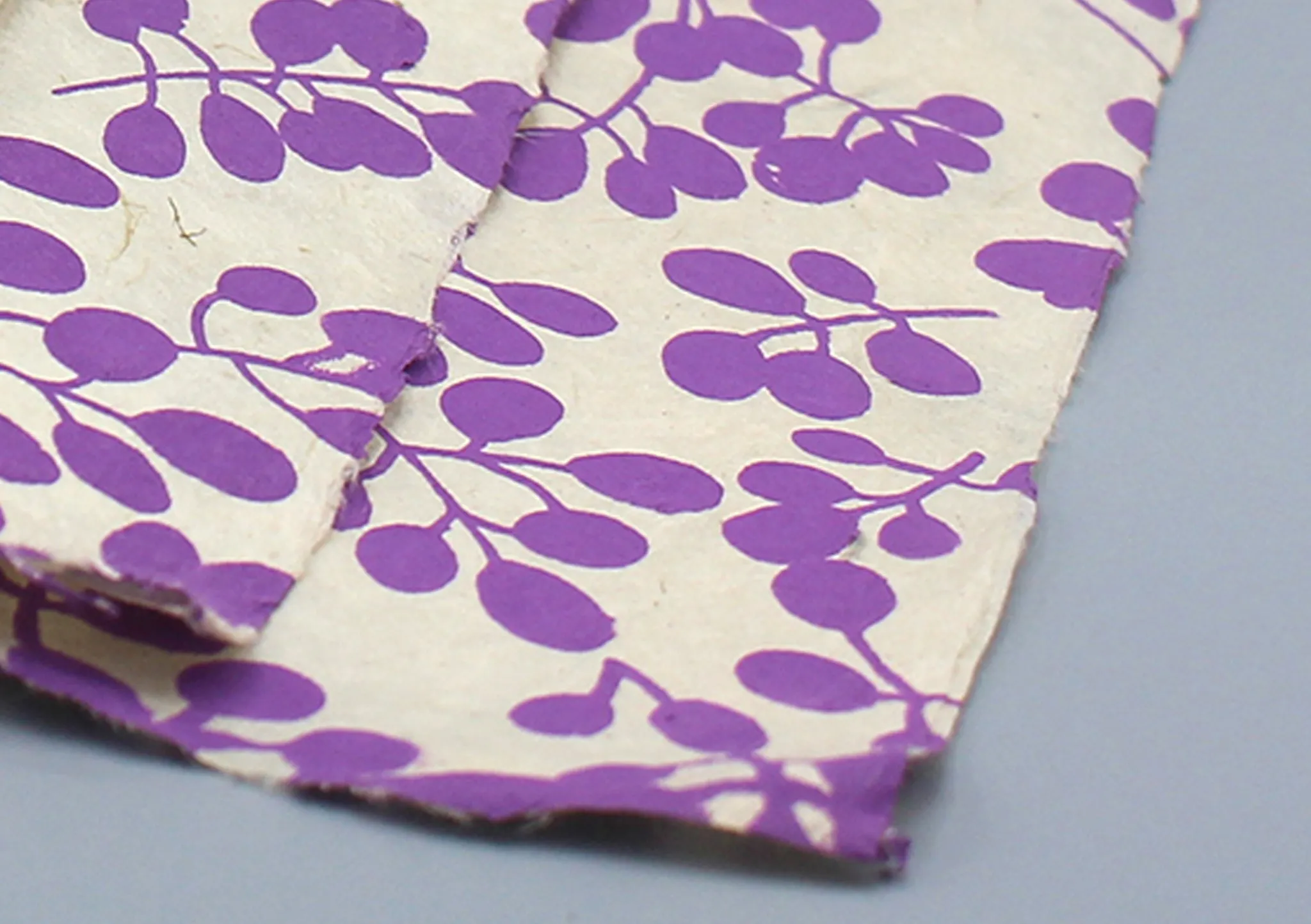 Berries Printed Wall Decor Lokta Paper Sheets