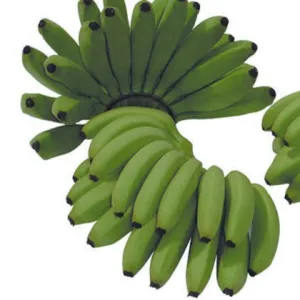Green Mini Bananas