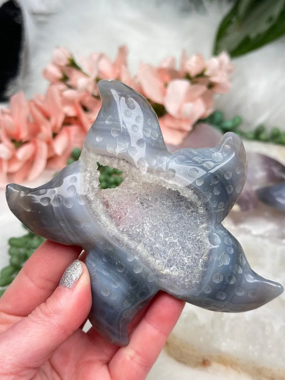 Large Agate Starfish