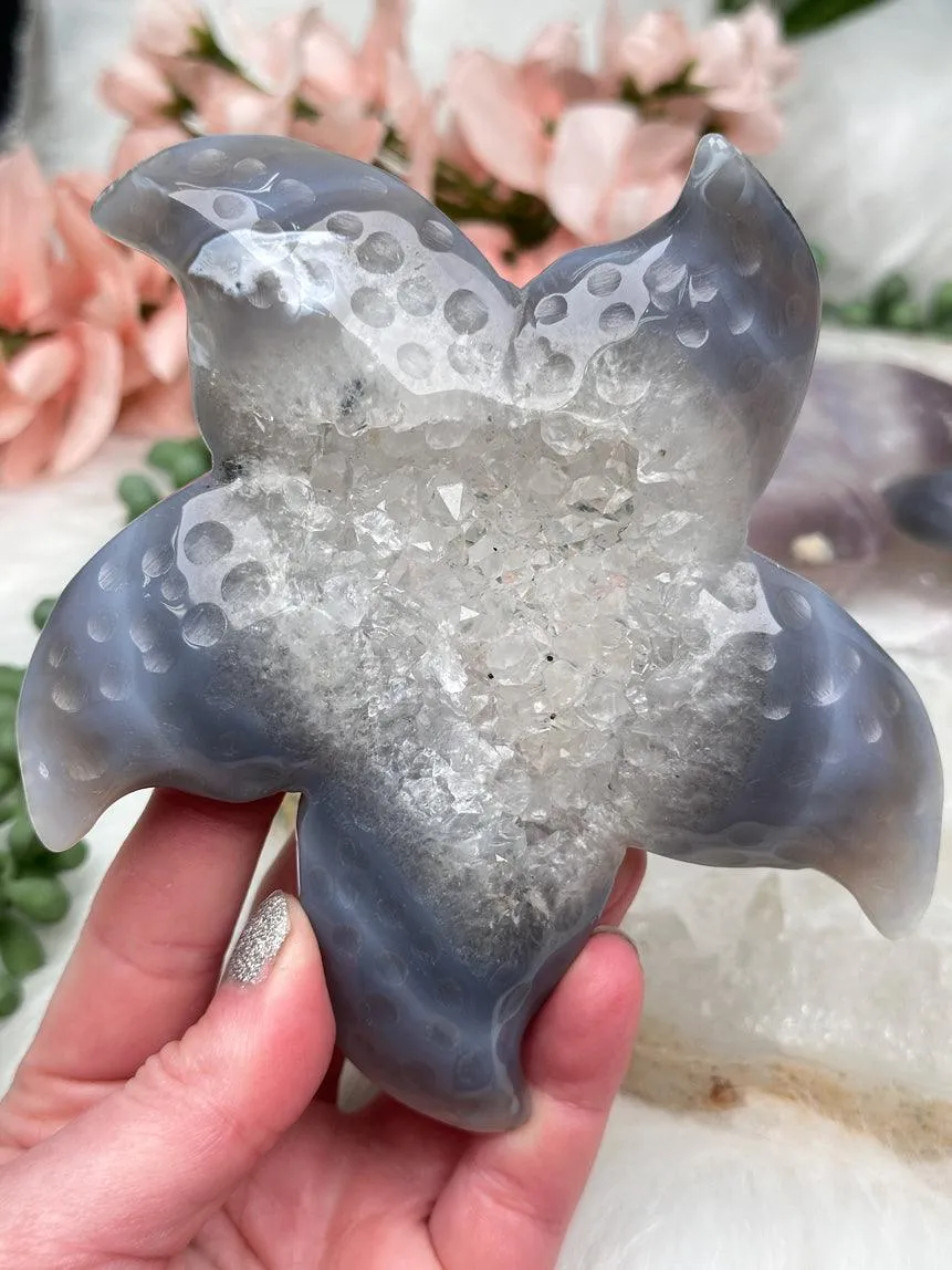 Large Agate Starfish