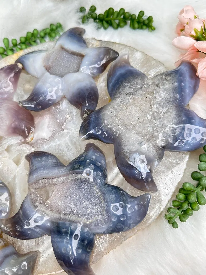 Large Agate Starfish