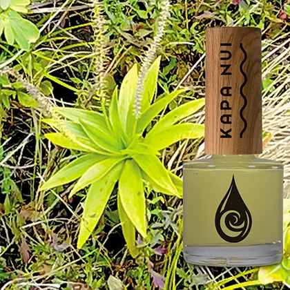 Laukahi Starter Set - Non Toxic Nail Polish