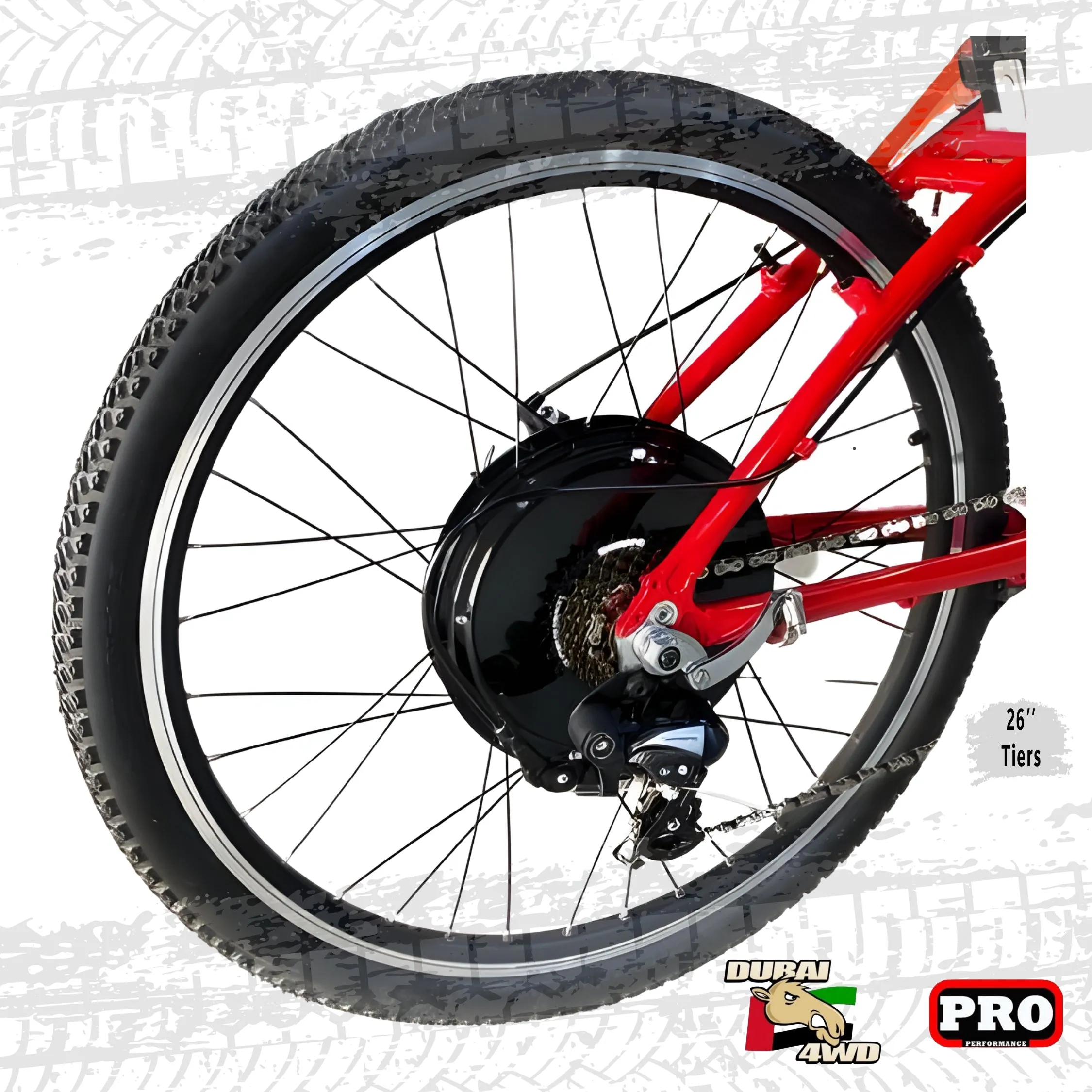 Shimano Electric Bike