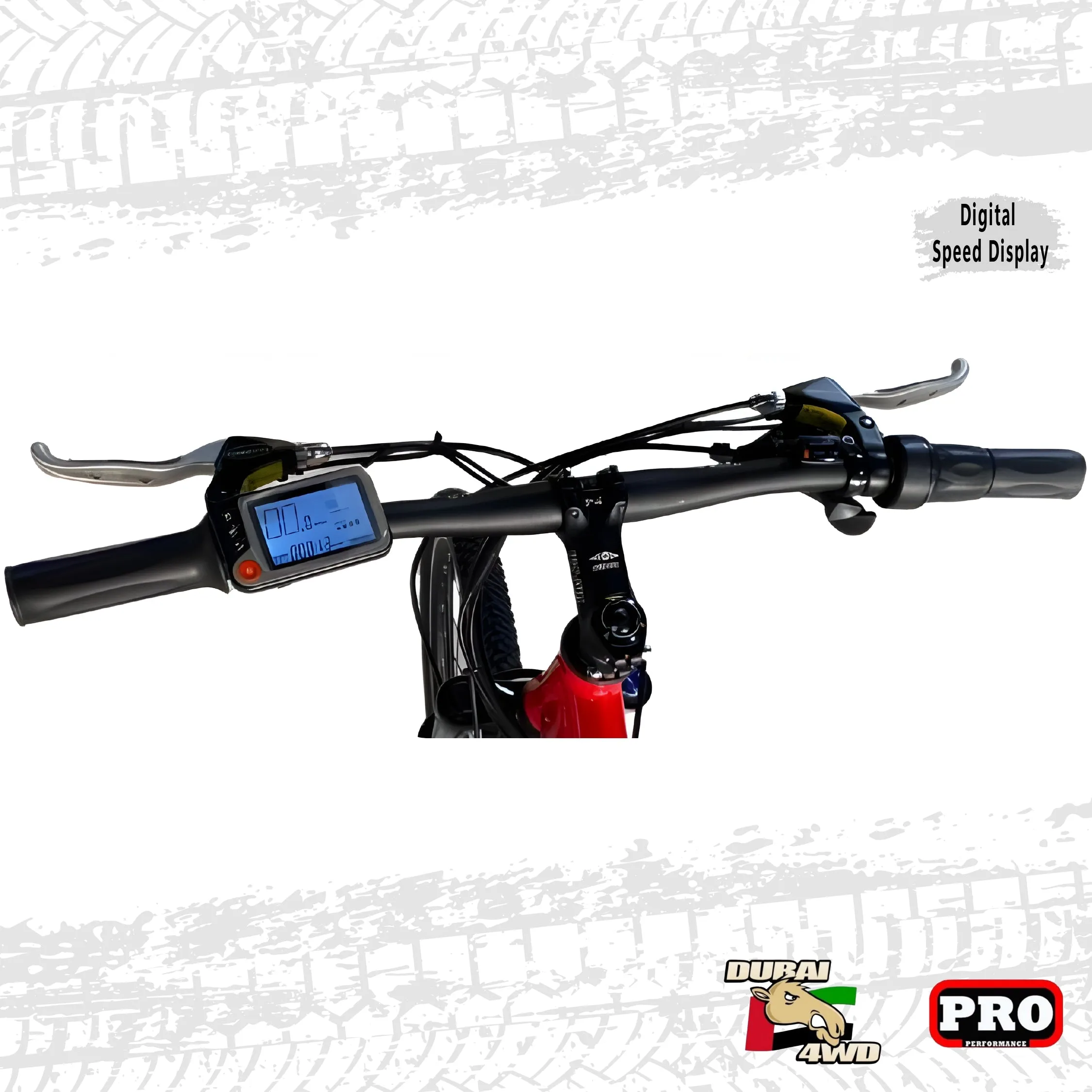 Shimano Electric Bike