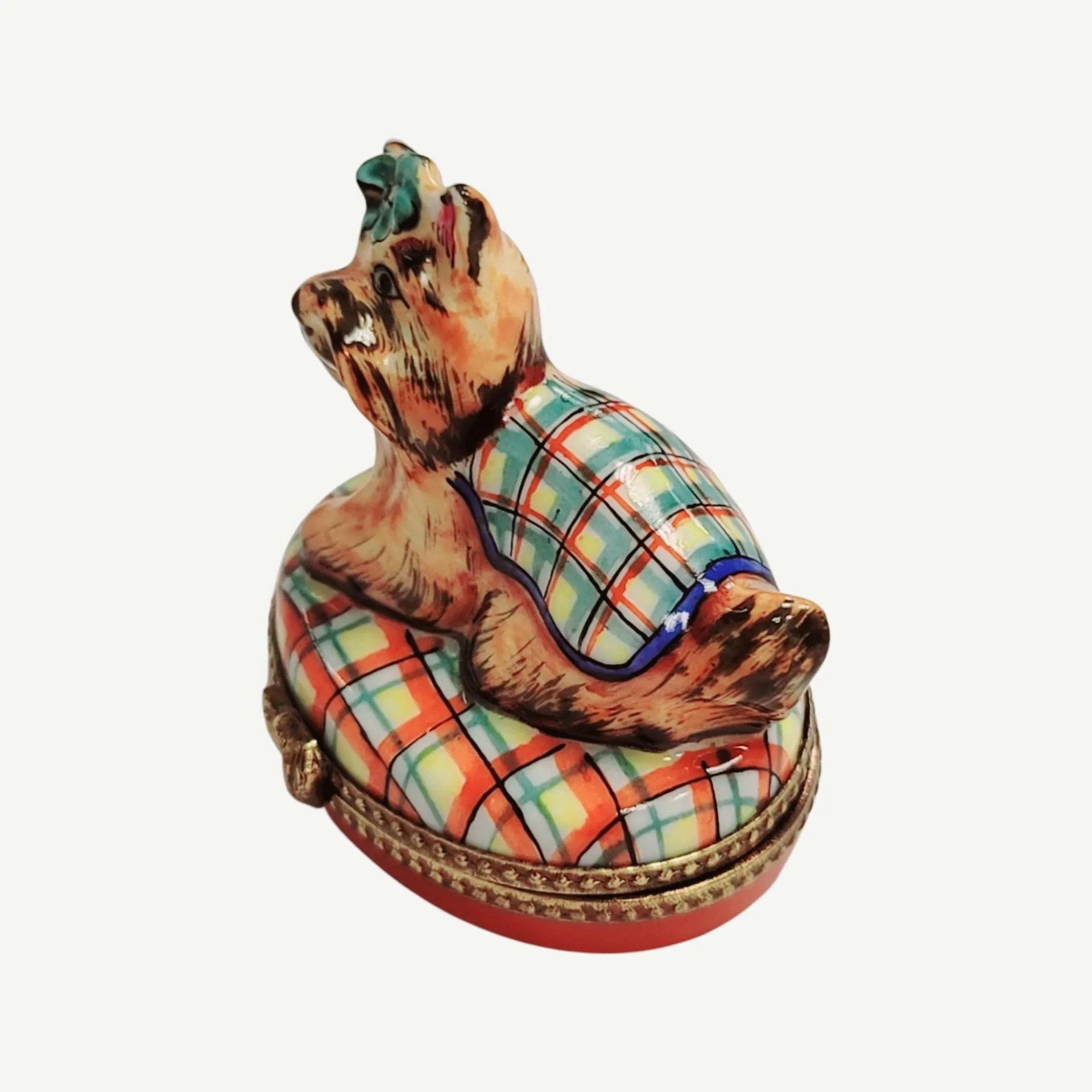 Terrier or Yorkshire Dog on Plaid