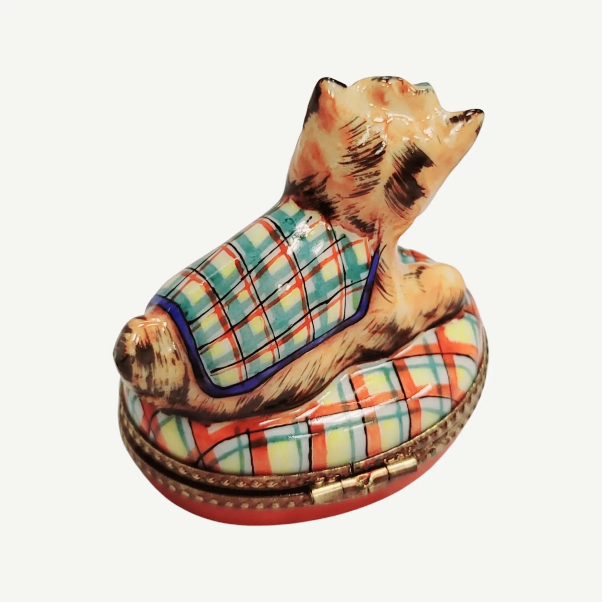 Terrier or Yorkshire Dog on Plaid