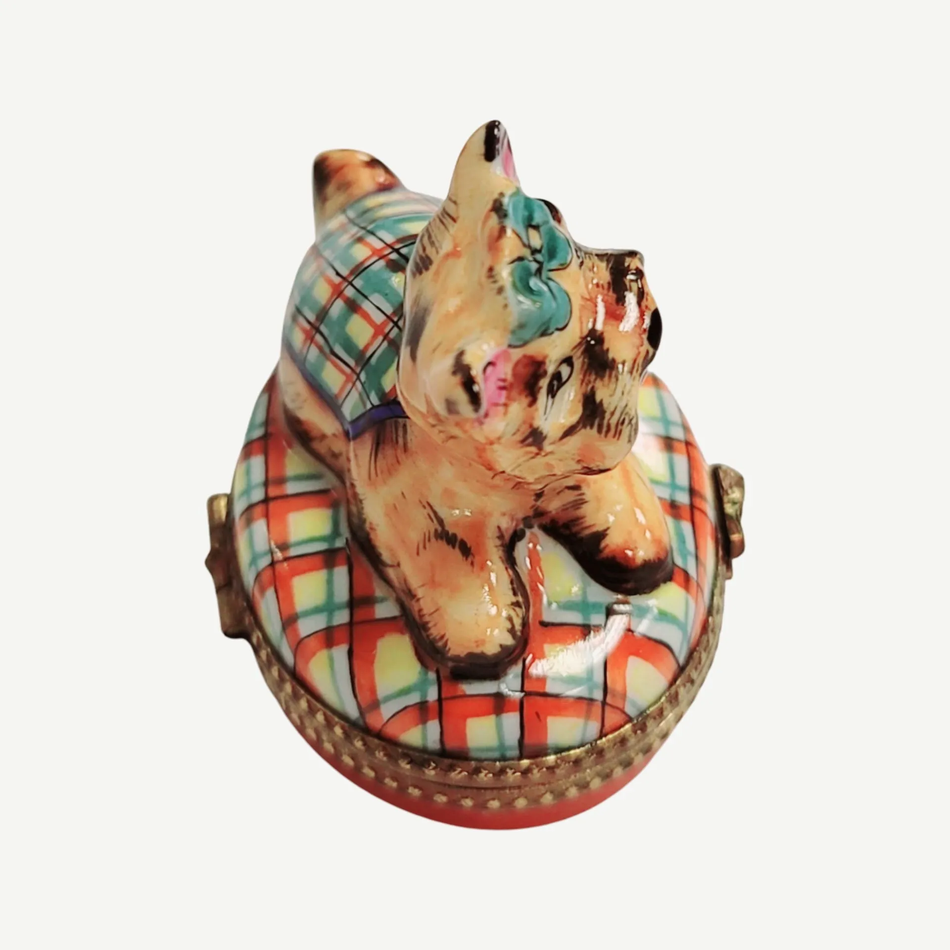 Terrier or Yorkshire Dog on Plaid